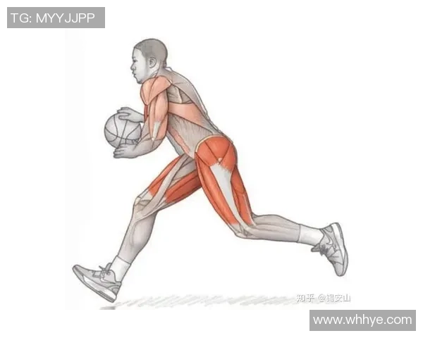 篮球新手必看：从力量训练入手提升你的球场表现与技巧