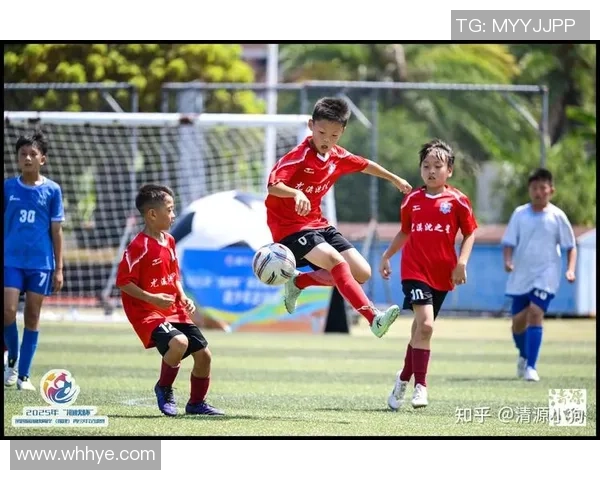 黑河少年足球崛起之路探索青少年体育发展的新模式与未来希望