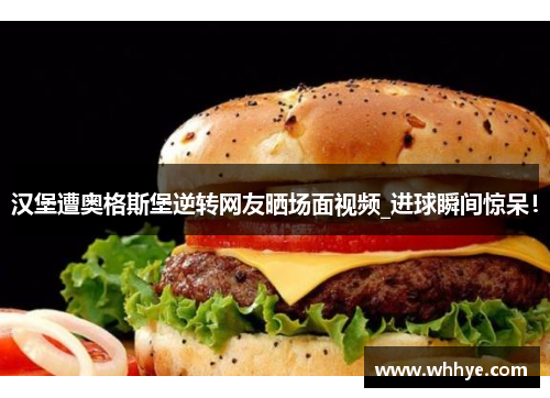 汉堡遭奥格斯堡逆转网友晒场面视频_进球瞬间惊呆！