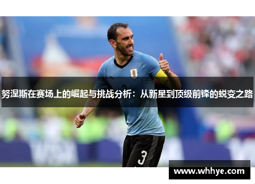 努涅斯在赛场上的崛起与挑战分析：从新星到顶级前锋的蜕变之路