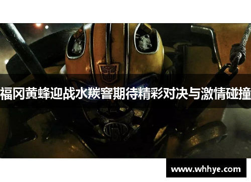 福冈黄蜂迎战水羰窨期待精彩对决与激情碰撞