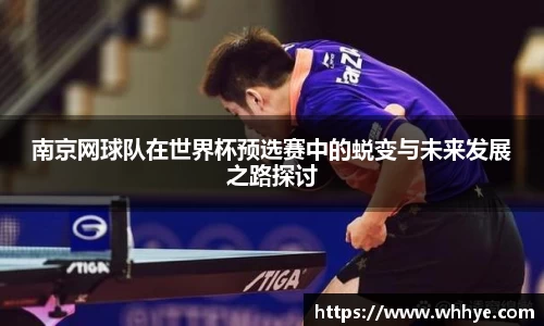 南京网球队在世界杯预选赛中的蜕变与未来发展之路探讨