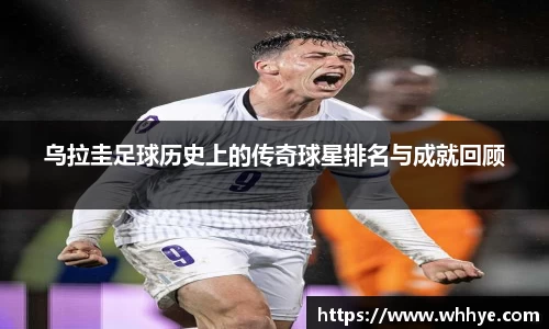 必一运动bsport体育